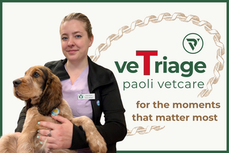 veTriage—Safety-First Vet Phone Triage PWA Built in a Week