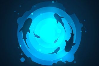 Restore Yourself. Revive the Ocean.