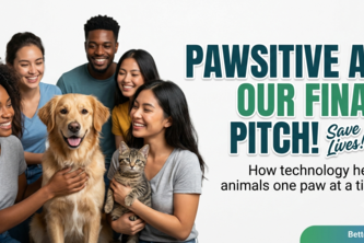 Pawsite Ai