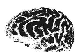 PocketBrain 