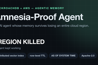Amnesia-Proof Agent