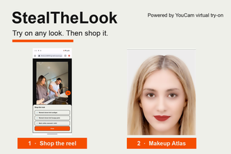 Steal the look