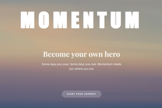 Momentum