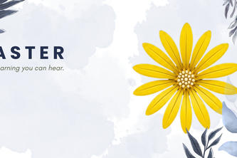 Aster