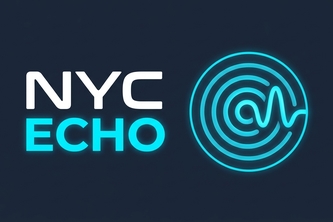 NYC Echo: Is 311 listening?