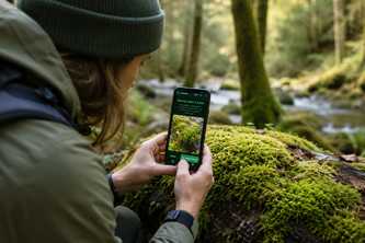 mossmap 
