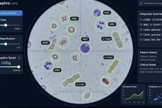 NephroLens: Interactive Microscopic Urinalysis 
