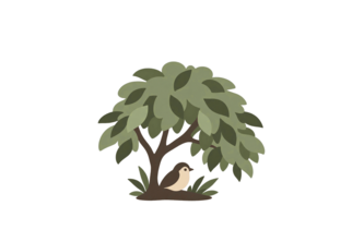 Canopy