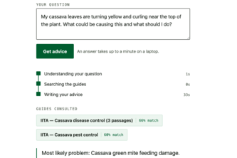 Offline Cassava Advisor