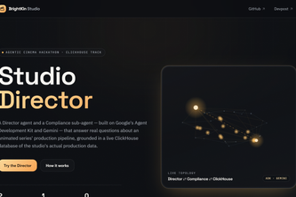 BrightKin Studio Director