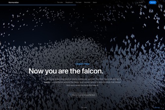 Murmuration/The color is the point 