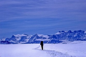 Colombia Icefield 26