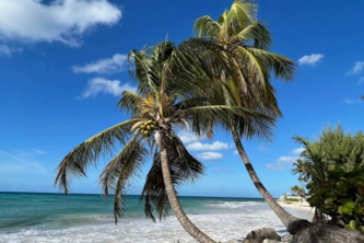 Island Express