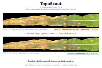 TopoScout: Autonomous Topology-Guided Scientific Imaging
