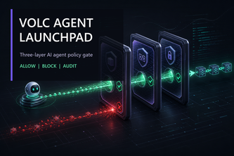 Volc Agent Launchpad