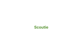 Scoutie