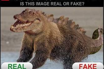 Real or Fake?