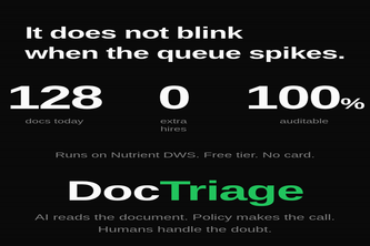 DocTriage: AI reads KYC docs, humans handle the doubt