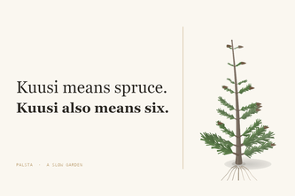 Palsta: A Slow Garden