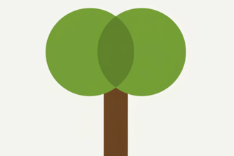 StudyTree