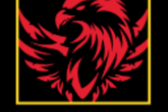 CyberWeb Shield - Your Eagle Guard