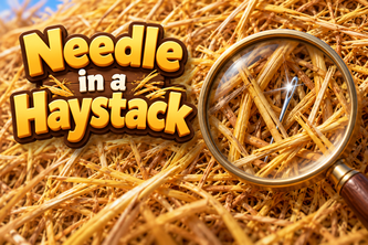 Needle in a Haystack