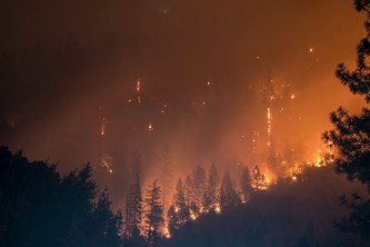 Post-Fire Drone Survey for Indonesia's Parks