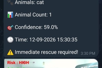 Animal Pet Rescue 