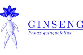 Ginseng