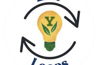 Lint Loops