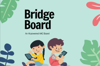 Bridge Board