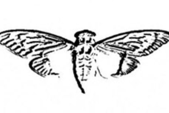 SOAR - Systems Operations & Autonomous Reconnaissance