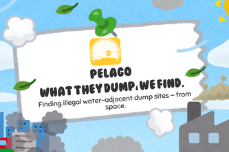 Pelago