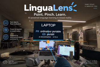 LinguaLens