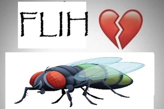 flih