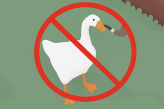 GOOSE B GONE!!