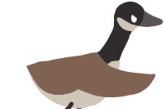 Goose Gone Loose