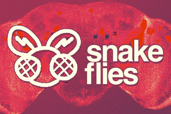 snake flies