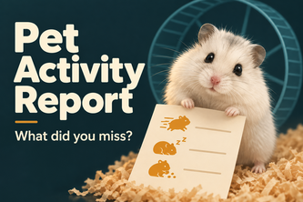 Pet Activity Report