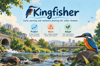Kingfisher