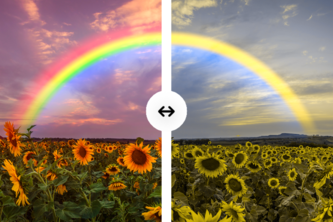 See as Me: Colorblind