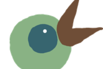 Birdseye