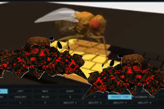 Fly Dagger