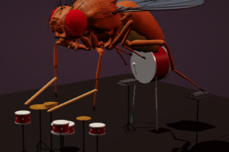 ThisFlyPlaysDrums
