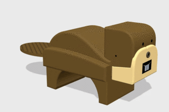 Beaver