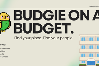 Budgie On A Budget