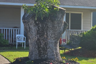 Improve Houston Sidewalks Enabling Aging in Place