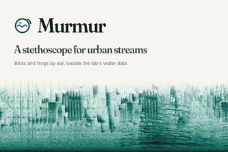 Murmur: a stethoscope for urban streams