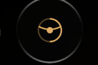 Singularity View