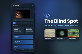 The Blind Spot